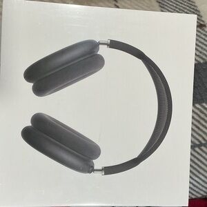 Apple Over-Ear Headphones in Charcoal